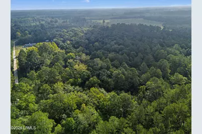 0 Tree Farm Road, Walterboro, SC 29488 - Photo 8