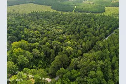 0 Tree Farm Road, Walterboro, SC 29488 - Photo 12