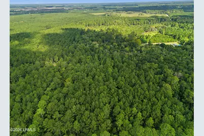 0 Tree Farm Road, Walterboro, SC 29488 - Photo 20