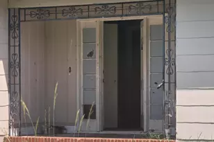 201 Willard St, Hampton, SC 29924 - Photo 4