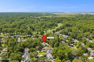 10 Fox Ln, Hilton Head Island, SC 29928 - Photo 74