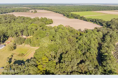 14 Kinte Drive, Saint Helena Island, SC 29920 - Photo 16