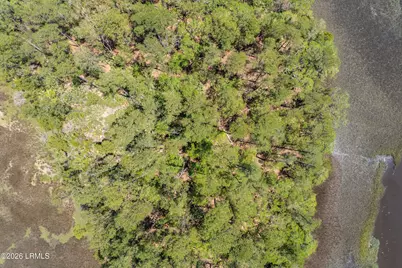 Tbd Wimbee Creek Island, Seabrook, SC 29940 - Photo 14