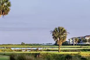 703 Sea Dragon Ln, Ladys Island, SC 29920 - Photo 54