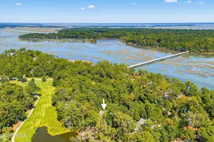 8 Heron Point, Okatie, SC 29909 - Photo 72
