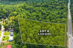 Tbd Lot 4 Industrial Rd, Walterboro, SC 29488 - Photo 1