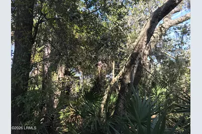 371 Pike Drive, Ladys Island, SC 29920 - Photo 6