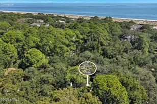 7 Donax Rd, Hilton Head, SC 29928 - Photo 34