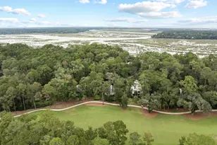 50 Spring Island Dr, Okatie, SC 29909 - Photo 52