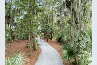 50 Spring Island Drive, Okatie, SC 29909 - Photo 2