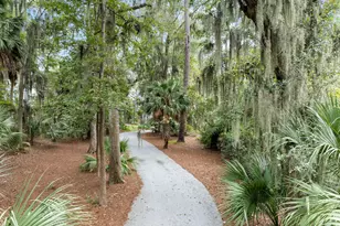 50 Spring Island Dr, Okatie, SC 29909 - Photo 2