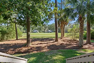 49 Winding Oak Dr, Okatie, SC 29909 - Photo 46