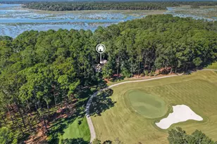 49 Winding Oak Dr, Okatie, SC 29909 - Photo 52