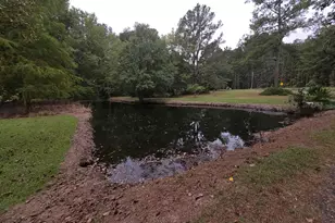 1512 Big Br Rd, Early Branch, SC 29916 - Photo 8