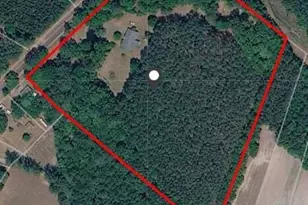 1512 Big Br Rd, Early Branch, SC 29916 - Photo 10