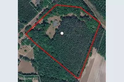 1512 Big Branch Road, Early Branch, SC 29916 - Photo 12