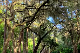 129 Avenue of Oaks, Daufuskie Island, SC 29915 - Photo 20