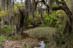 1711 Salem Rd, Beaufort, SC 29902 - Photo 1
