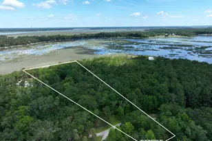 39 Net Menders Loop, Saint Helena Island, SC 29920 - Photo 1