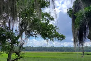 14 Sheldon Ln, Seabrook, SC 29940 - Photo 1