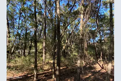 Tbd Capers Island Circle, Saint Helena Island, SC 29920 - Photo 1
