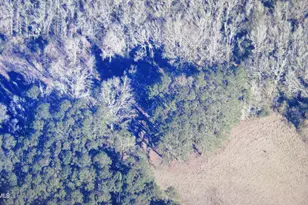 0 Tbd Charleston Hwy, Sheldon, SC 29941 - Photo 1