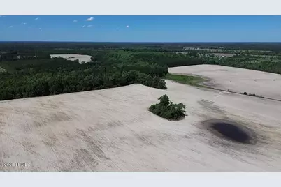 0000 Burnell Road, Estill, SC 29918 - Photo 1