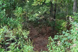 Tbd Tina Manker Rd, Ridgeland, SC 29936 - Photo 1