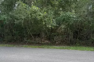 230 Green Winged Teal Dr S, Beaufort, SC 29907 - Photo 1