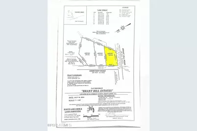 3595 Cemetary Road, Ulmer, SC 29849 - Photo 1