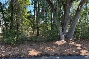 253 Locust Fence Rd, Saint Helena Island, SC 29920 - Photo 1
