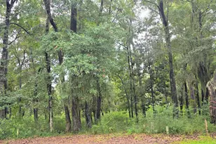 28 Ridge Rd, Beaufort, SC 29907 - Photo 1