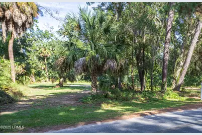 125 Horse Island Drive, Saint Helena Island, SC 29920 - Photo 1