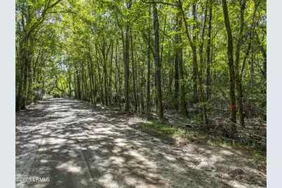 50 Still Shadow Drive, Beaufort, SC 29906 - Photo 1