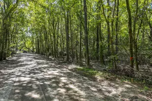 50 Still Shadow Dr, Beaufort, SC 29906 - Photo 1