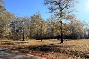 215 County Rd S-25-314, Varnville, SC 29944 - Photo 1