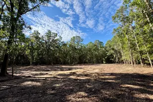 000 Lowcountry Dr, Ridgeland, SC 29936 - Photo 1