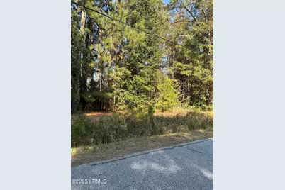Tbd W Main Street, Ridgeland, SC 29936 - Photo 1