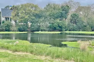 51 Governors Trce, Beaufort, SC 29907 - Photo 1