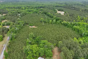 Tbd Ulmer Rd, Fairfax, SC 29827 - Photo 1