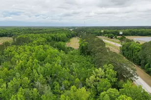 Tbd Evergreen Ln, Walterboro, SC 29488 - Photo 1