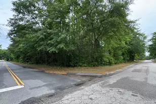 00 Ellis Ave, Estill, SC 29918 - Photo 1