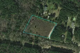 0 Hwy 13 Bees Creek Rd, Ridgeland, SC 29936 - Photo 1