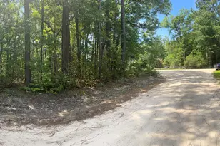 Tbd Hillcrest Dr, Hampton, SC 29924 - Photo 1