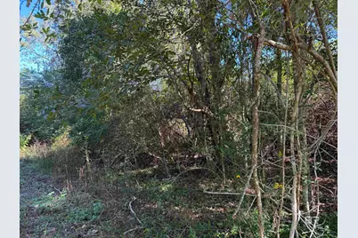 0 Pleasant Hill Road, Century, FL 32535 - Photo 6