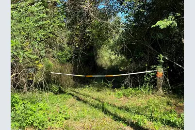 0 Pleasant Hill Road, Century, FL 32535 - Photo 4