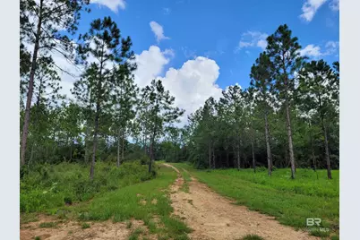 39449 S State Highway 59, Bay Minette, AL 36507 - Photo 1