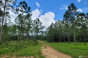 39449 S State Hwy 59, Bay Minette, AL 36507 - Photo 1