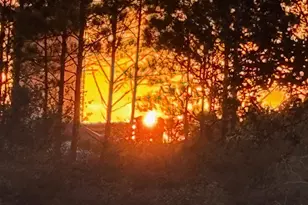 24101 Perdido Beach Blvd, Orange Beach, AL 36561 - Photo 36