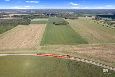 5700 Block Pine Forest Road, Walnut Hill, FL 32568 - Photo 12